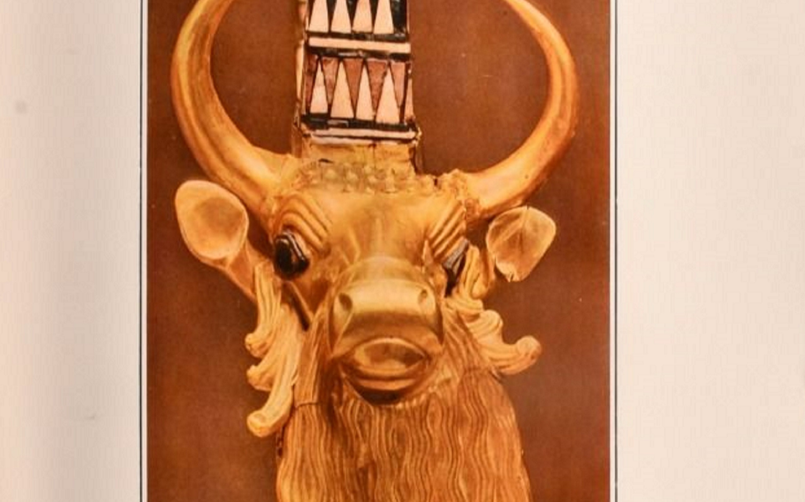 Editor's Choice: Number Eleven