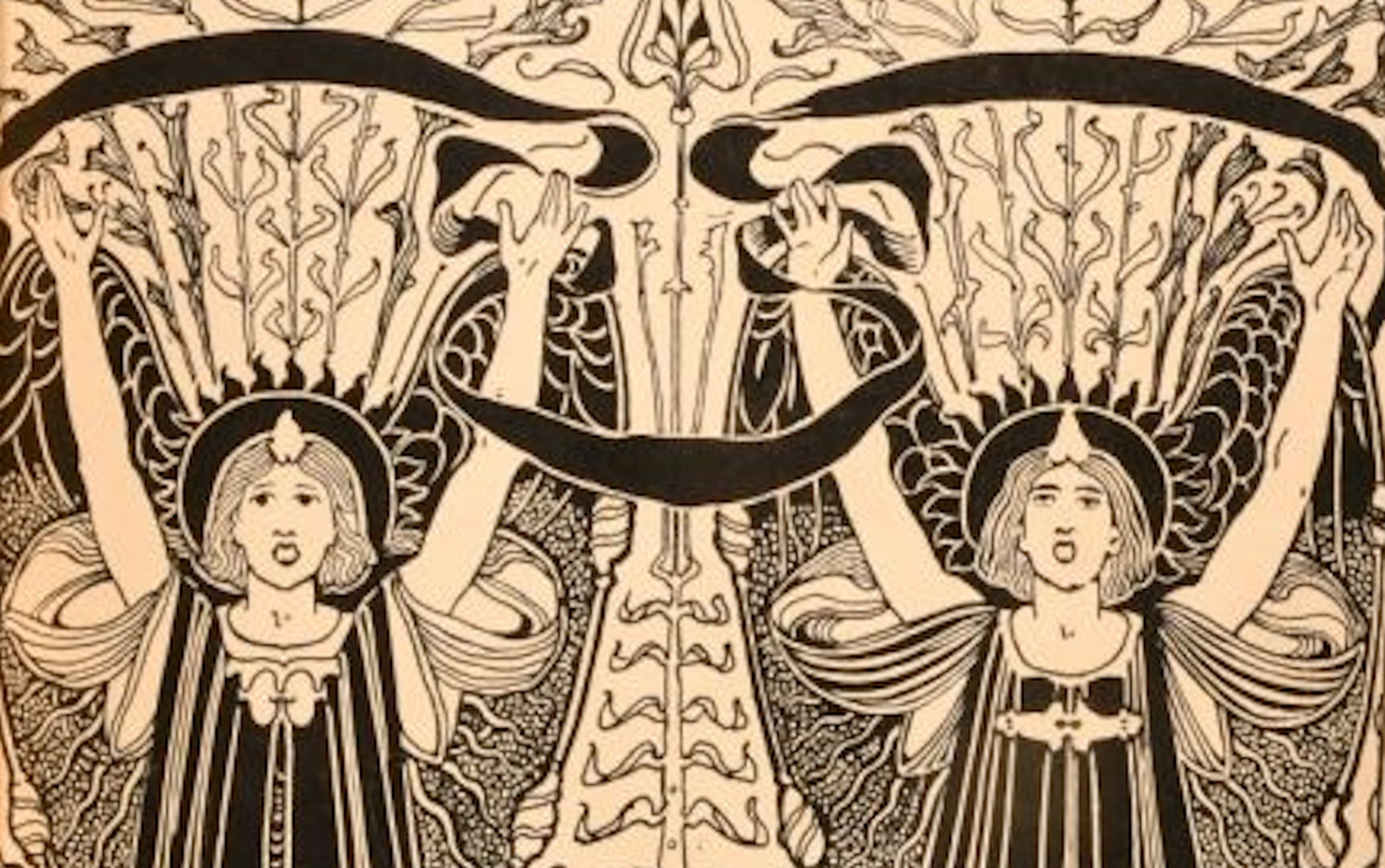 Editor's Choice: Number Two 