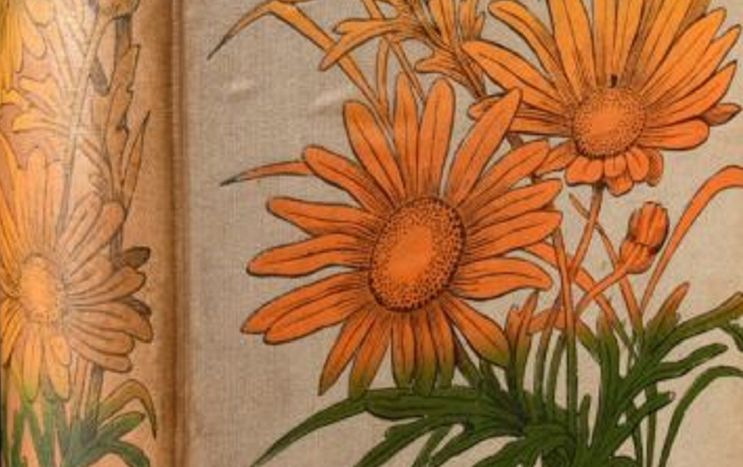 Editor's Choice: Number Eighteen 